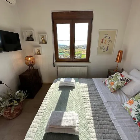 Villa Yellow Octopus